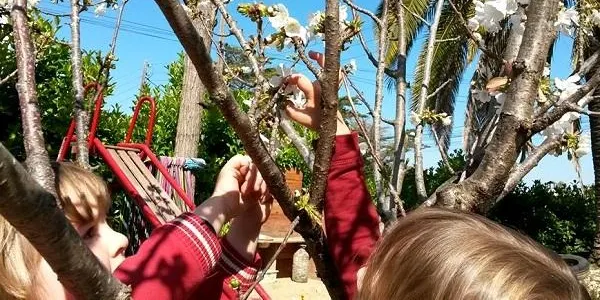 La Finca Canyadell d’Altafulla acull la I Jornada Local d’Educació aquest dissabte