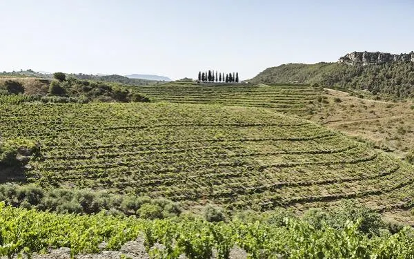 Foto: DOQ Priorat