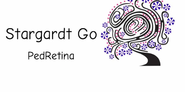 Xerrada informativa sobre el Projecte Stargardt Go!
