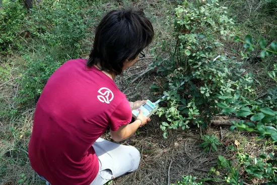 El CTFC investiga al Solsonès quina és la gestió forestal més resistent als incendis, plagues o sequeres