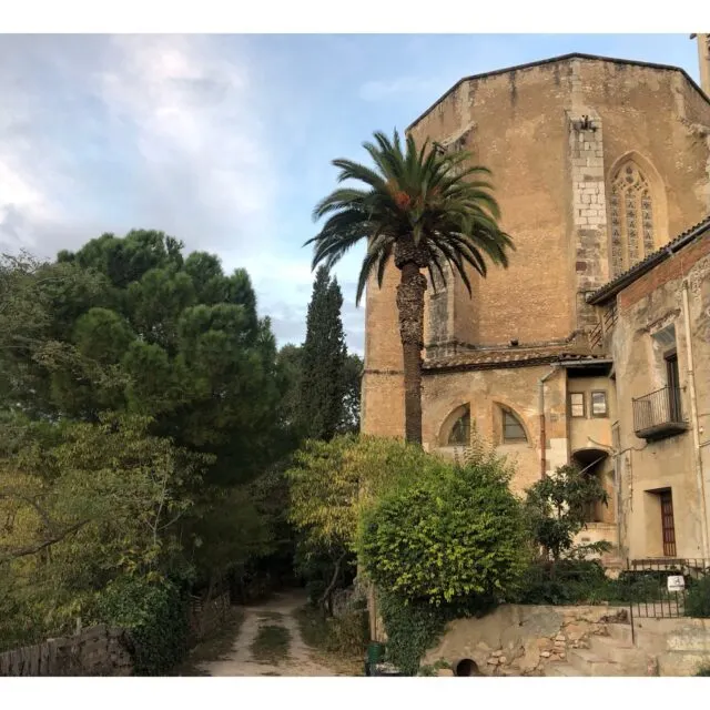 S'obre la licitació de la segona fase del projecte de recuperació de l'Hort del Rector