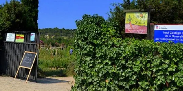 La visita guiada a la desembocadura del Gaià d’aquest diumenge mostrarà l’entrada del riu cap al mar en la seva esplendor