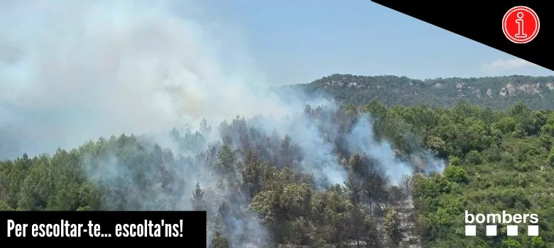 Incendi forestal a la zona dels cingles