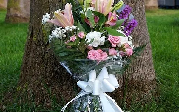 Foto: Garden Center Grup La Rasa