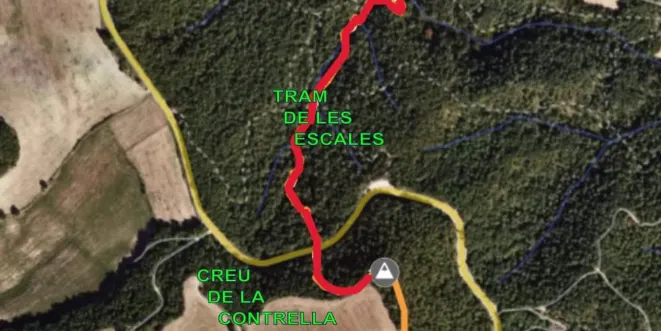 286 corredors participen aquest diumenge a la Passos de Gegant