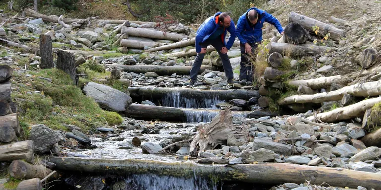 Projecte Boscos de Muntanya proposa apostar per la bioenginyeria per frenar les esllavissades al Pirineu