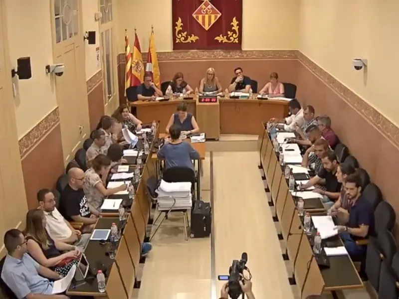 Ple ordinari juliol 2018