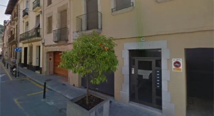 L'Ajuntament vol regular el guals 