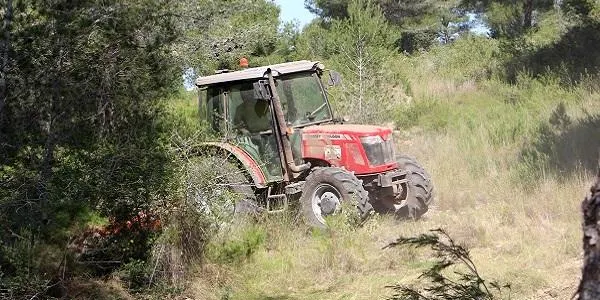 Prohibit fer foc en terrenys forestals sense autorització fins el 15 d’octubre