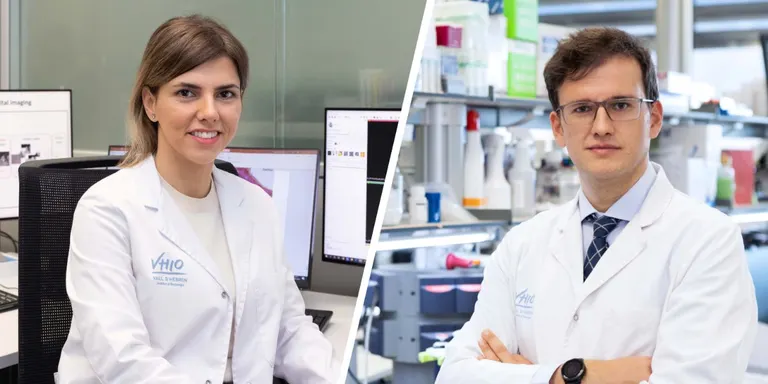 Identifiquen nous biomarcadors per predir la resposta al tractament del càncer de pròstata