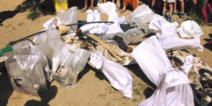 Una cinquantena de persones participen en el 'Clean'up Europe!'