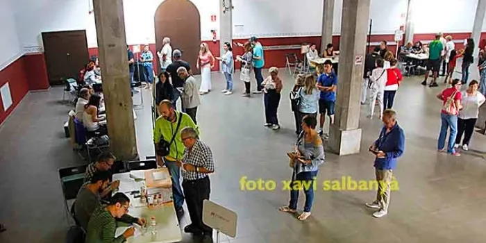 Participació a les 13h: 36,85%