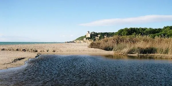 L’Hort de la Sínia d’Altafulla ofereix una nova visita guiada a la desembocadura del riu Gaià