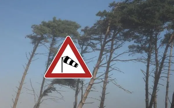 Foto: Protecció Civil