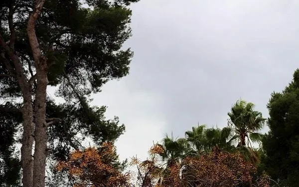 Protecció Civil demana precaució pel temporal de pluja i vent previst per aquest dimecres
