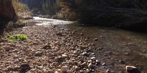 La Sínia organitza una visita guiada a la Font de Sant Joan de Salomó aquest dissabte al matí
