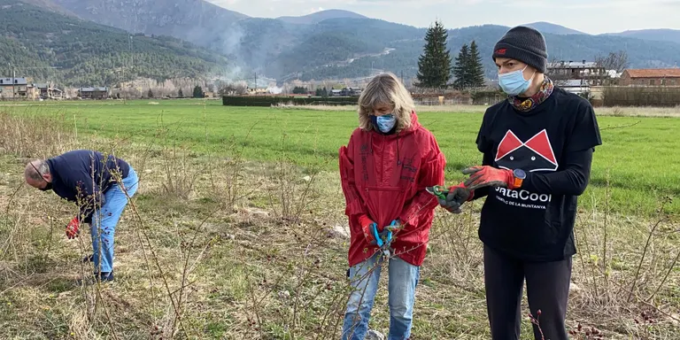 Una entitat que treballa amb persones amb discapacitat a la Cerdanya gestionarà el procés de producció d'un superaliment