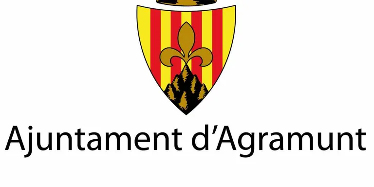 Curs de formació sobre la nova llei de contractació administrativa