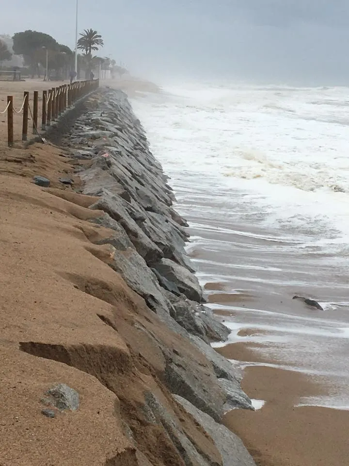El Ministeri de Medi Ambient farà un estudi de la situació de la Platja de Pineda per a concretar actuacions