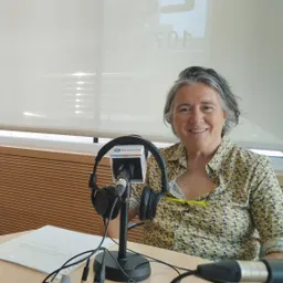 #524 - Entrevista a Effecteatre - episode art