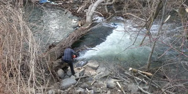 Concedits ajuts a l'Alt Urgell, el Pallars Jussà i la Cerdanya per aiguats i ventades