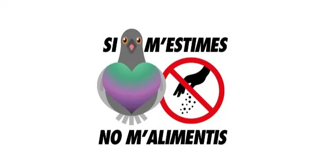 L’Ajuntament de Constantí inicia una campanya de conscienciació sobre els coloms