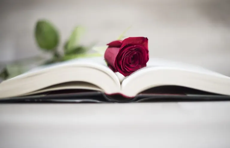 Feliç Diada de Sant Jordi!