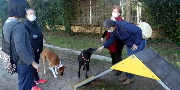 Reobren els parcs de socialització d'animals d'Altafulla