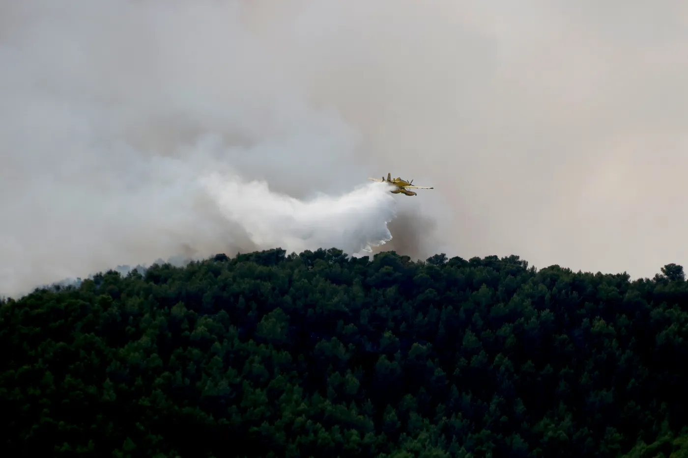 ACTUALITZACIÓ: Els Bombers preveuen controlar dimarts al matí el foc d'Aiguamúrcia