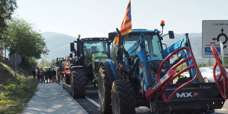 Xerrada a la Seu sobre les retallades als ajuts a ramaderia ecològica i de muntanya