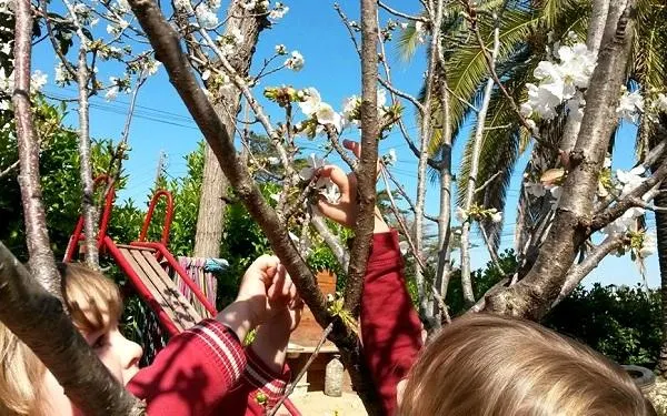 Foto: La Tribu del Gaià