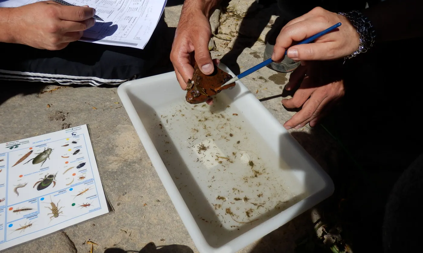 El Grup de Natura del Solsonès organitza una inspecció del riu Negre aquest diumenge