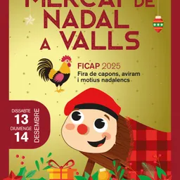 #3 - Entrevistes del 13/12/2025 — Mercat de Nadal i Fira de Capons: tradició i seguretat - episode art