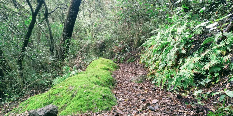 Risc de ruixats de tarda