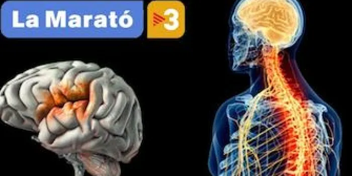 Arenys de Mar es prepara per la Marató de TV3