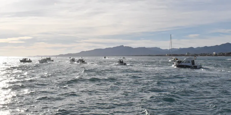 Rècord de participació al 10è Concurs de Pesca del Calamar del Club Nàutic Cambrils