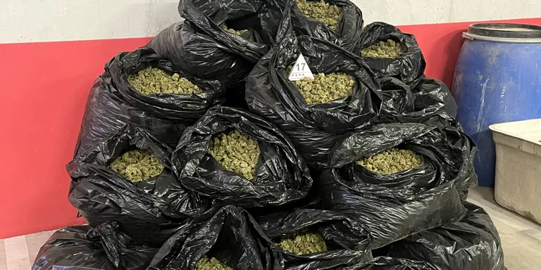 Els Mossos desmantellen un assecador de marihuana a Cabra del Camp amb 620 quilos i quatre armes de foc