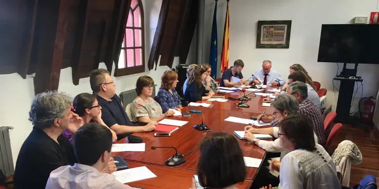 El ple del Consell Comarcal de l'Alt Urgell sol.licita la creació d'una oficina de serveis d'Urbanisme a l'Alt Pirineu