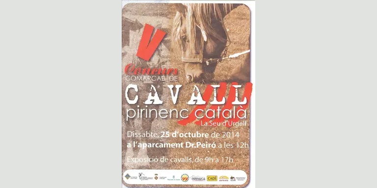Nova edició del Concurs Comarcal de Cavall Pirinenc Català
