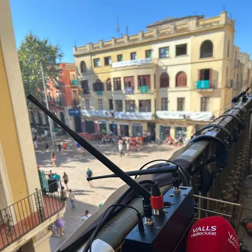 Diada castellera de Sant Fèlix 2026