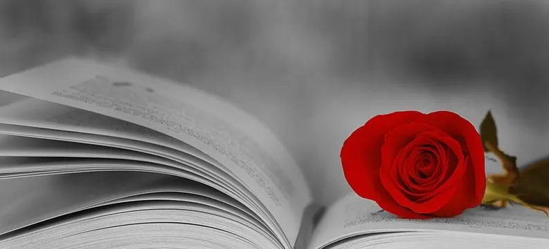Actes de Sant Jordi