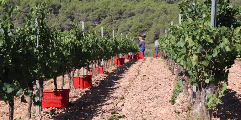 RUBÍ AL DIA dilluns 25 MARÇ 2019