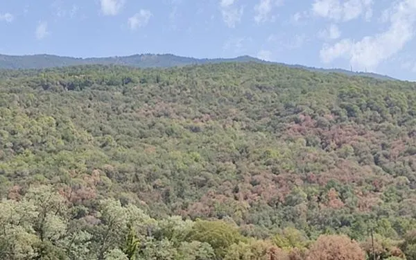 Foto: departament d’Acció Climàtica, Alimentació i Agenda Rural