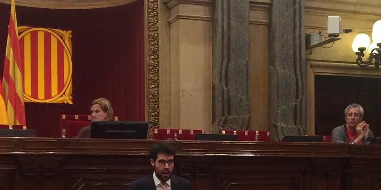 Albert Batalla demana que la nova Llei de muntanya sigui "una oportunitat" pel Pirineu